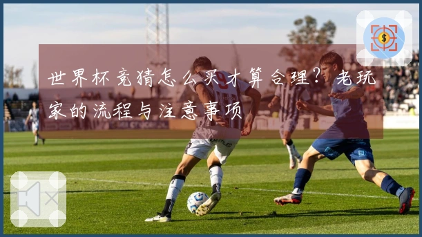 世界杯竞猜怎么买才算合理？老玩家的流程与注意事项