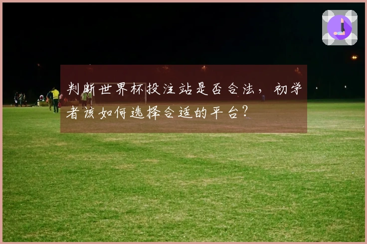 判断世界杯投注站是否合法，初学者该如何选择合适的平台？