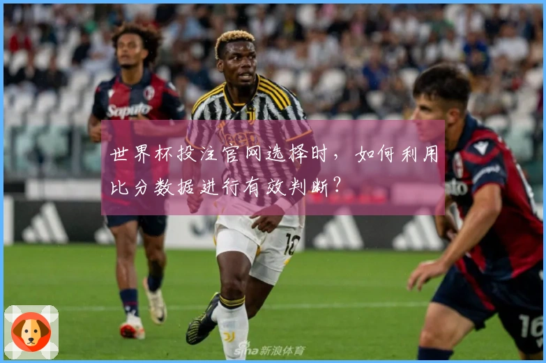 世界杯投注官网选择时，如何利用比分数据进行有效判断？