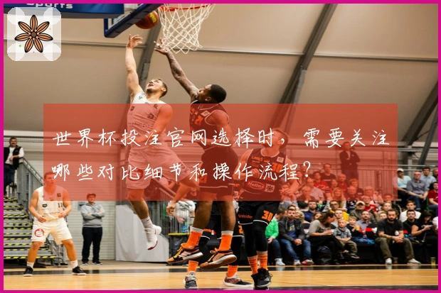 世界杯投注官网选择时，需要关注哪些对比细节和操作流程？