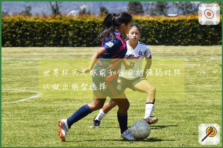 世界杯买足球前如何分析强弱对阵以做出明智选择