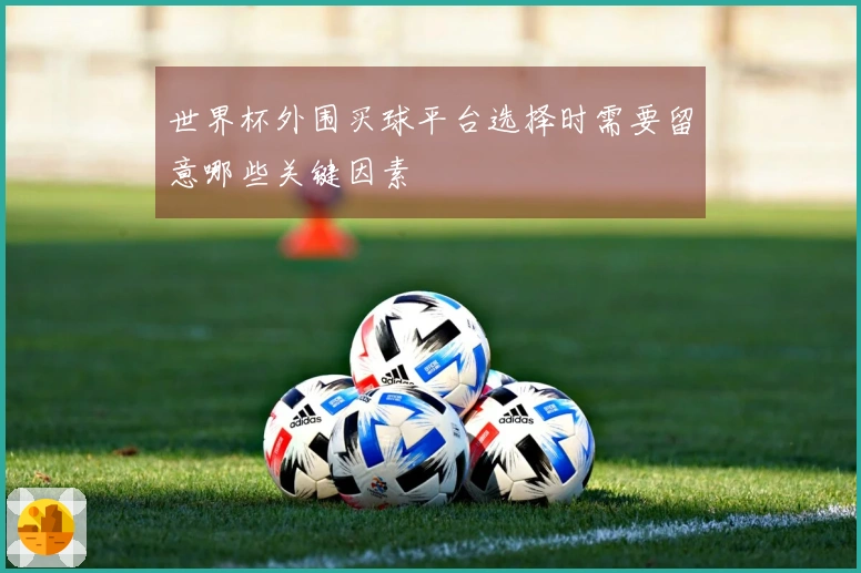 世界杯外围买球平台选择时需要留意哪些关键因素