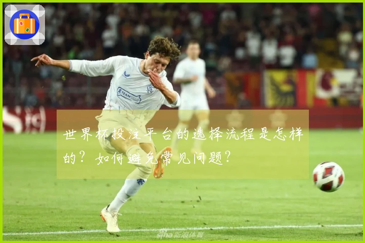 世界杯投注平台的选择流程是怎样的？如何避免常见问题？