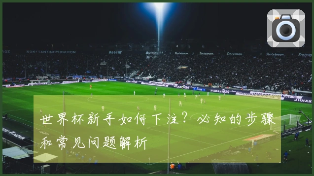 世界杯新手如何下注？必知的步骤和常见问题解析