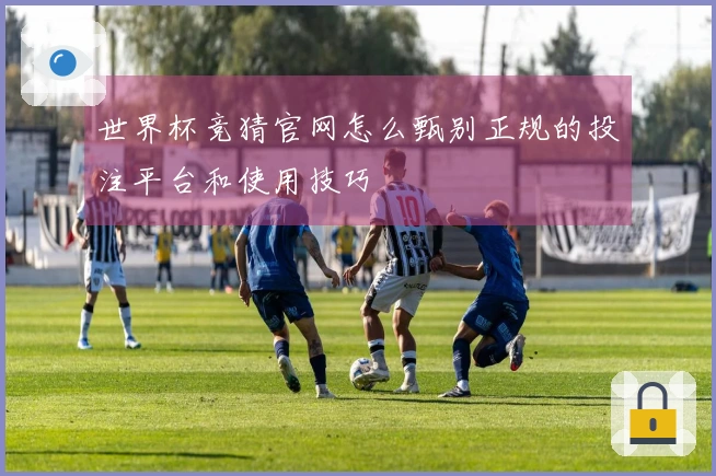世界杯竞猜官网怎么甄别正规的投注平台和使用技巧