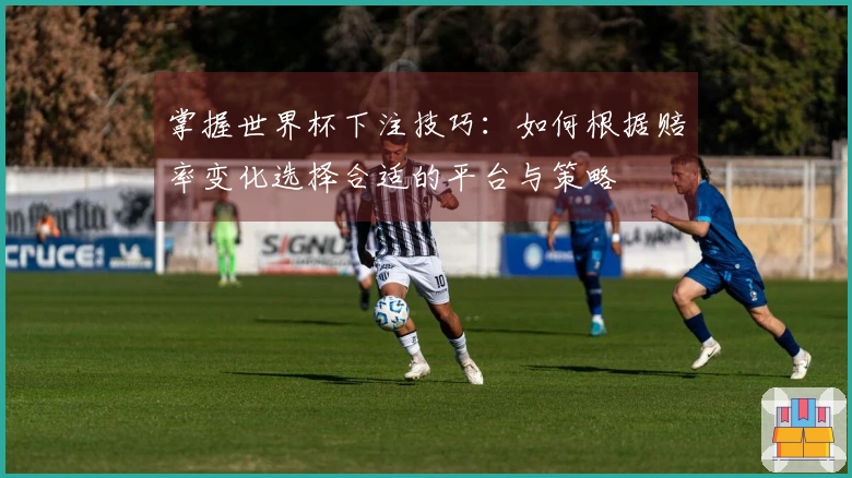 掌握世界杯下注技巧：如何根据赔率变化选择合适的平台与策略