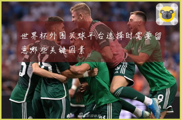 世界杯外围买球平台选择时需要留意哪些关键因素