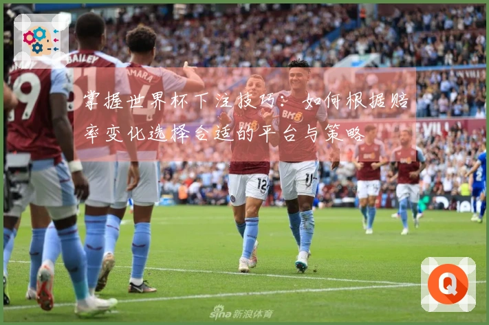 掌握世界杯下注技巧：如何根据赔率变化选择合适的平台与策略