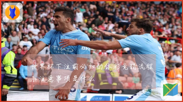 世界杯下注前必知的体彩竞猜流程和注意事项是什么