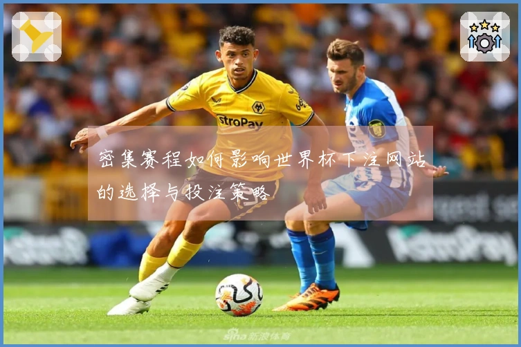 密集赛程如何影响世界杯下注网站的选择与投注策略