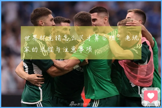 世界杯竞猜怎么买才算合理？老玩家的流程与注意事项