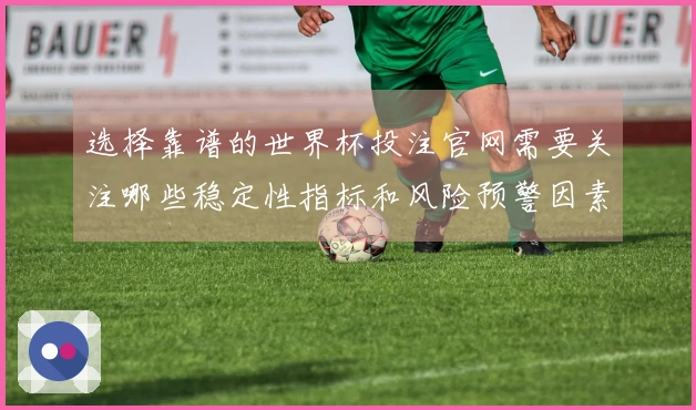 选择靠谱的世界杯投注官网需要关注哪些稳定性指标和风险预警因素