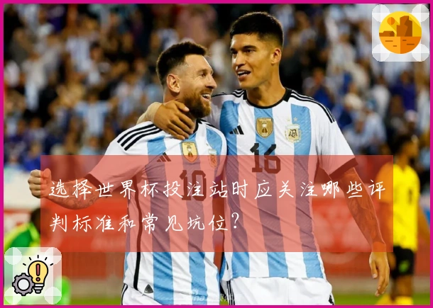 选择世界杯投注站时应关注哪些评判标准和常见坑位？