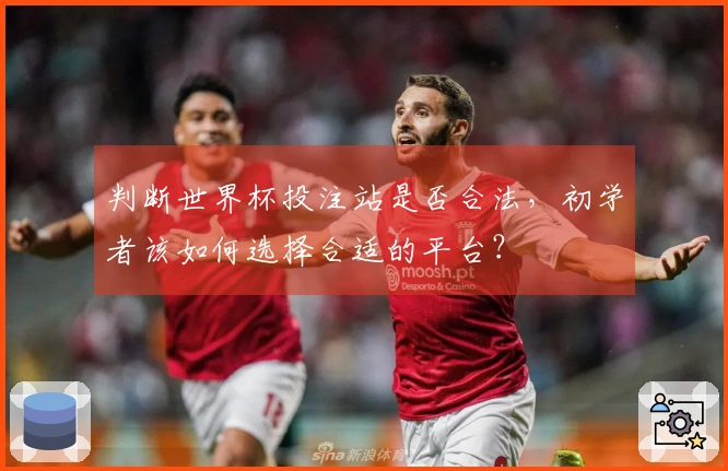 判断世界杯投注站是否合法，初学者该如何选择合适的平台？