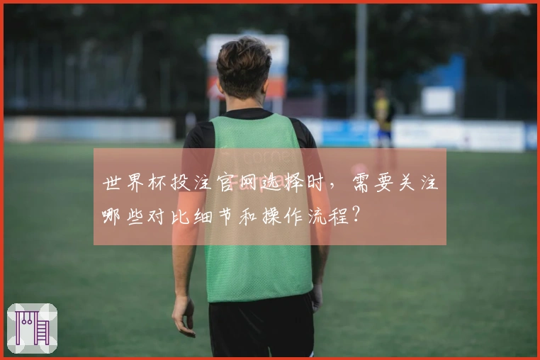 世界杯投注官网选择时，需要关注哪些对比细节和操作流程？